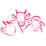 Logo-boyauderie-rose
